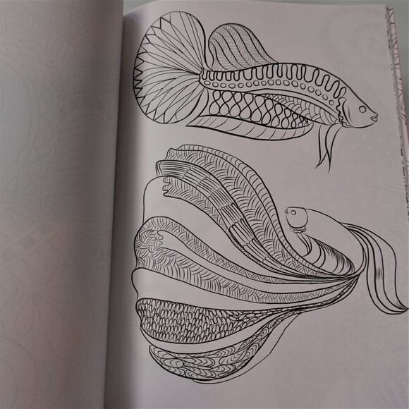 Color Creatives Book Peaceful Patterns Coloring To Relax And Soothe - Picture 9 of 9